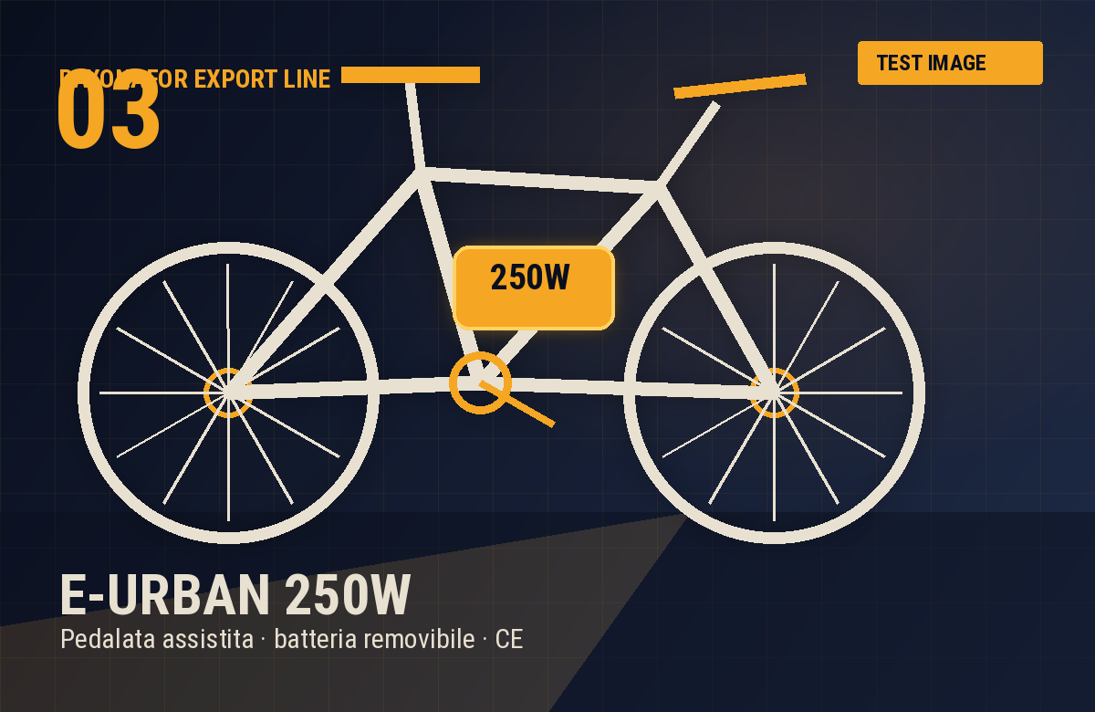E-bike urbana 250W RAYONAFOR